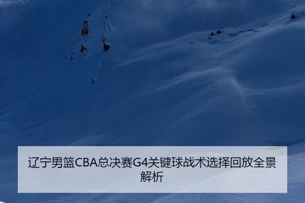 辽宁男篮CBA总决赛G4关键球战术选择回放全景解析
